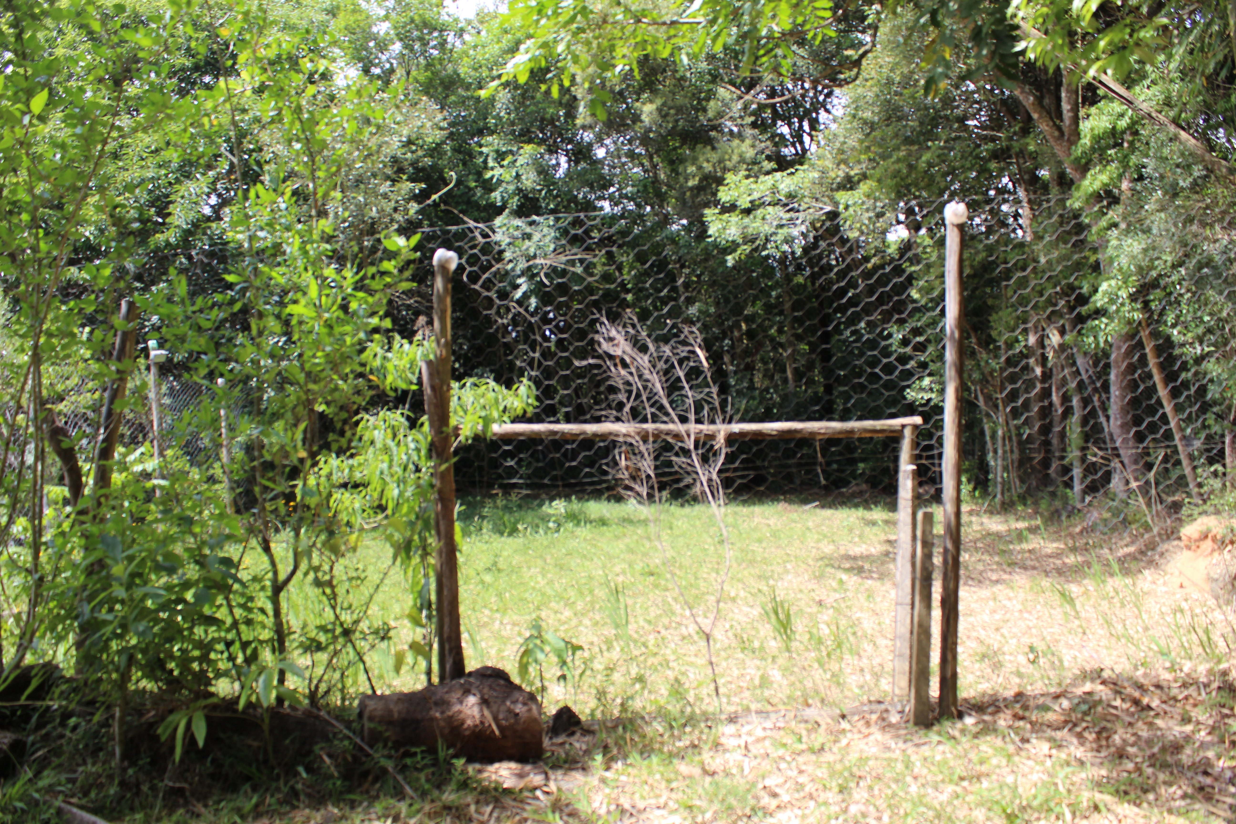 Campo Futebol